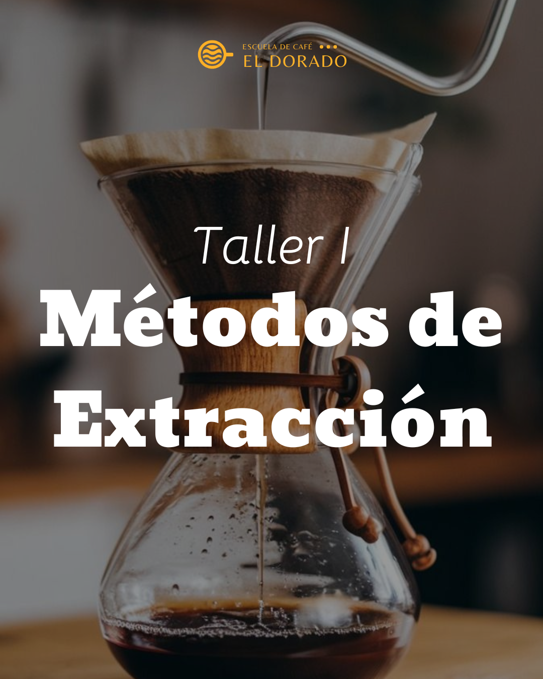 Taller Métodos de Extracción