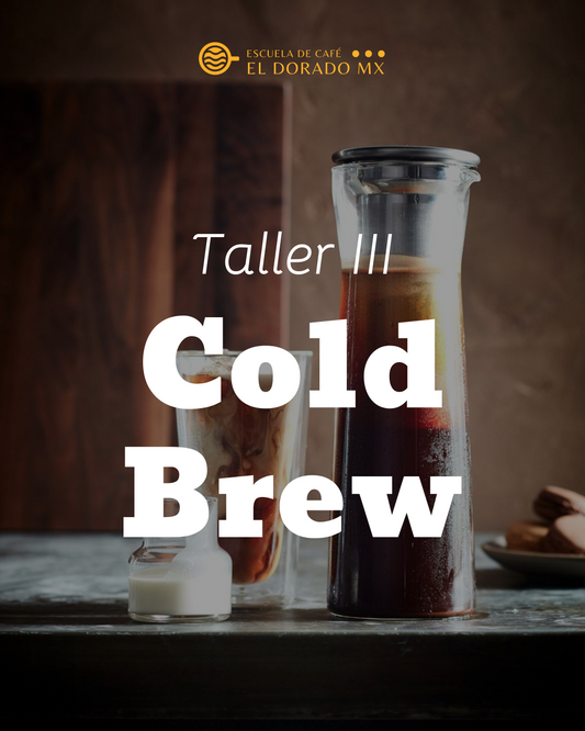 Taller de Cold Brew