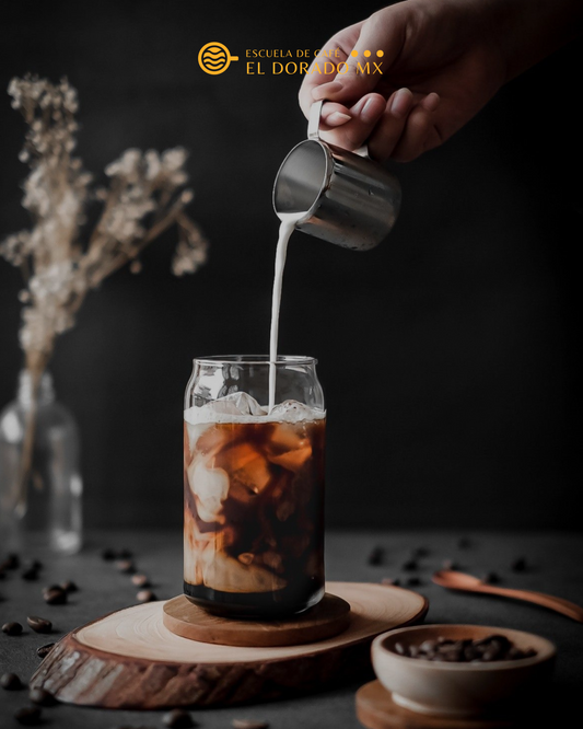 Taller de Cold Brew